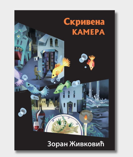 Hidden Camera Book Cover