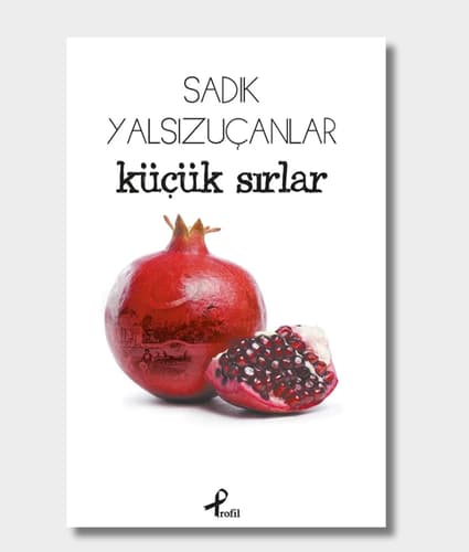 Little Secrets Book Cover