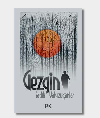 The Traveler Book Cover