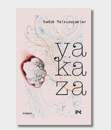 The Waking State Book Cover