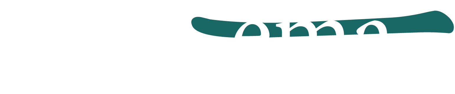 Literary Agency