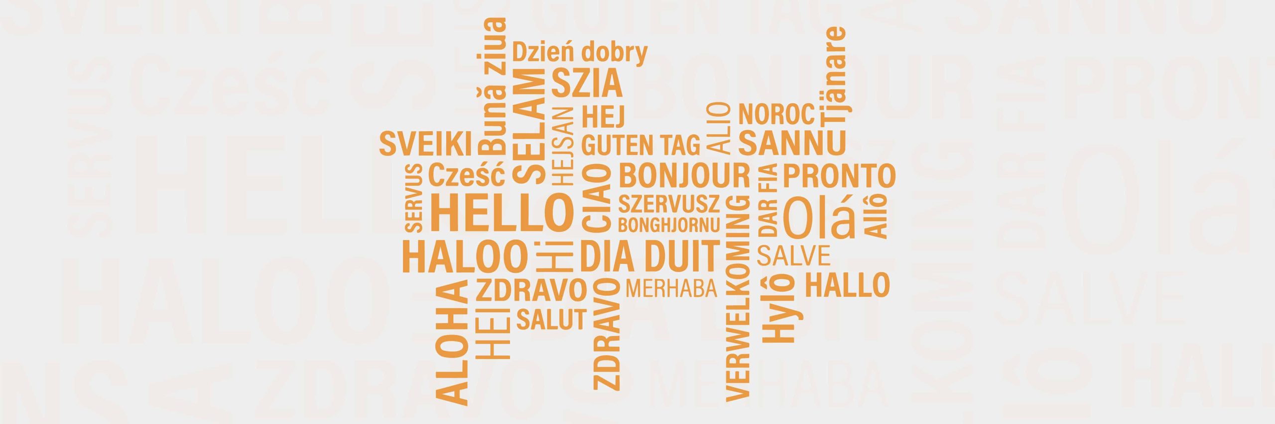 Translation Services