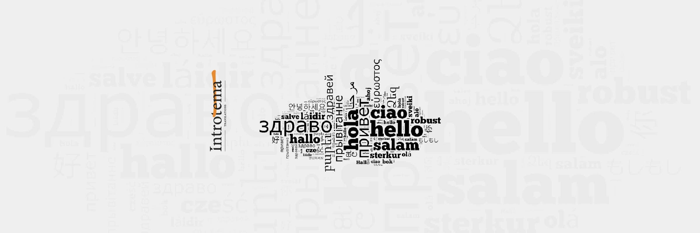 Translation Services